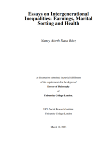 Essays on International Inequalities Earnings Marital Sorting and Health An Understated Dominance By Marina Vittori PDF Free Download